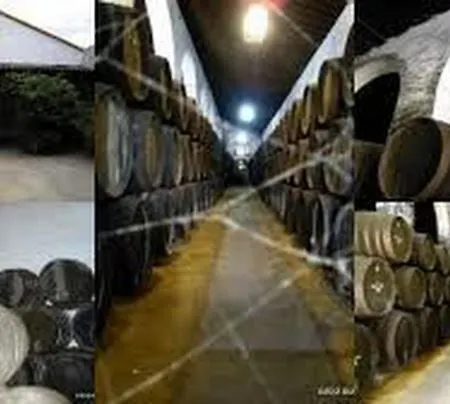 Almijar 9